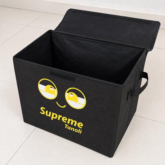 Foldable Fabric Storage Box with Lid & Handles - Black