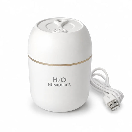 Mini H2O USB Humidifier with Night Light